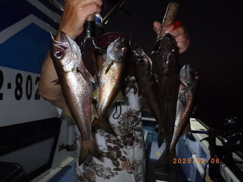 satoshimaru様 最新の釣果 聡丸