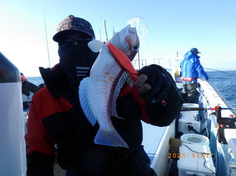 satoshimaru様 最新の釣果 聡丸