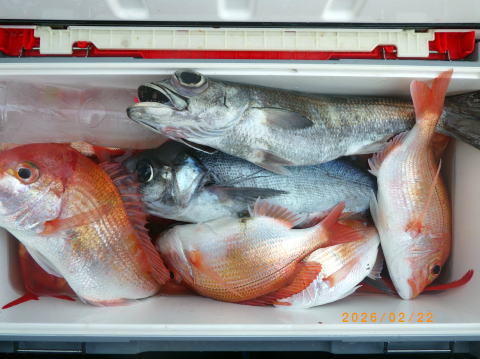 最新の釣果 聡丸