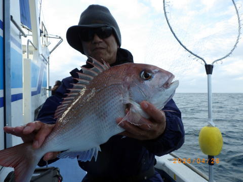 最新の釣果 聡丸