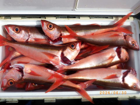 最新の釣果 聡丸