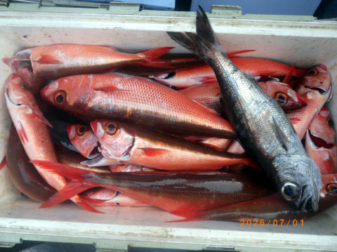 satoshimaru様 最新の釣果 聡丸