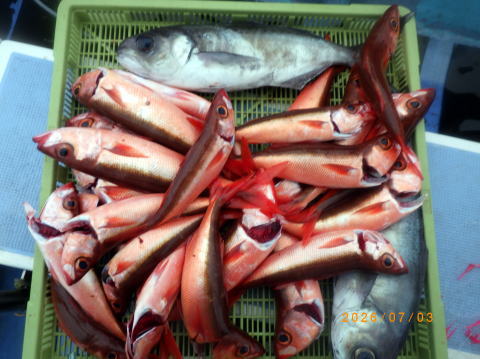 最新の釣果 聡丸